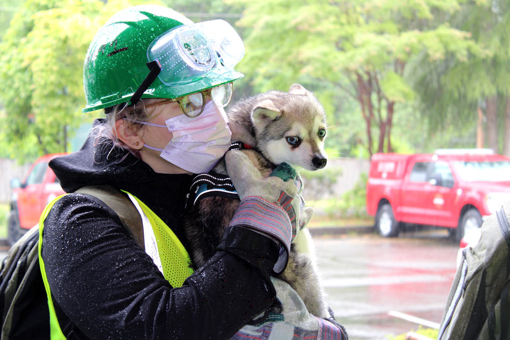 A person in a green helmet, goggles and face mask carries a dog, with emergency vehicles in the background