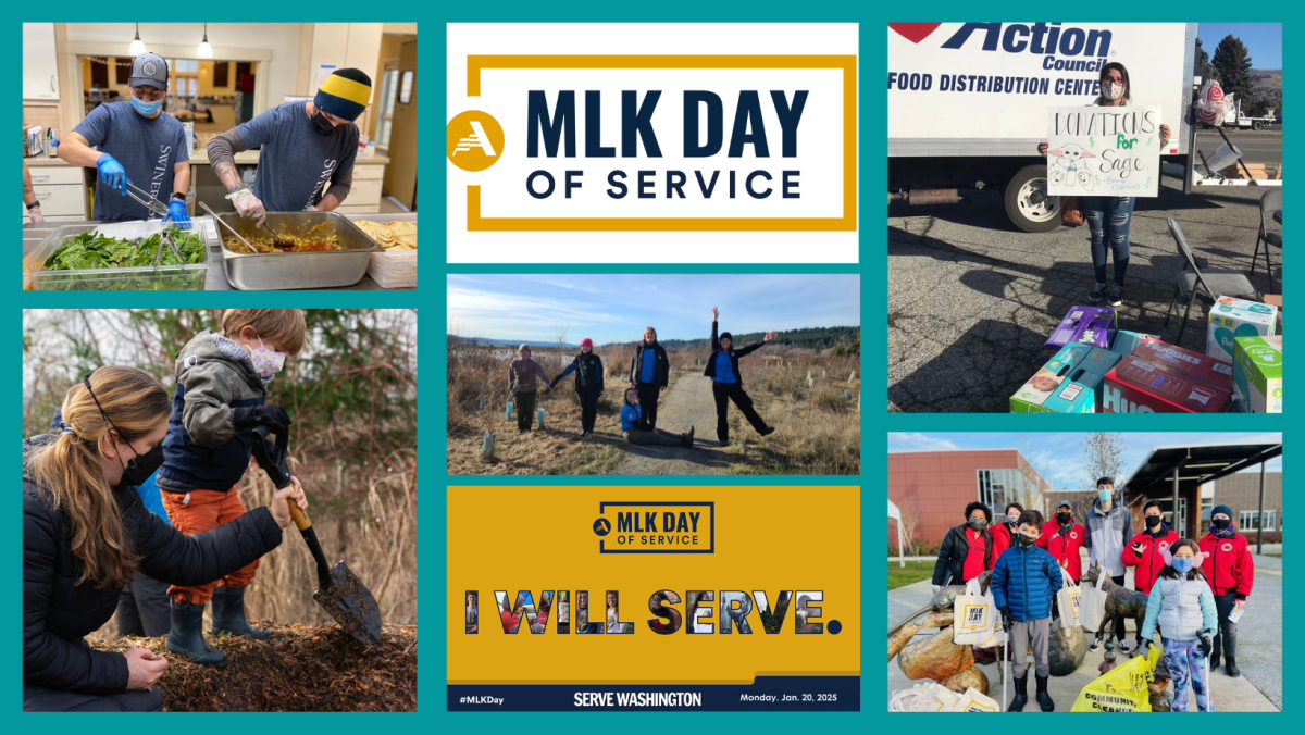 photo collage of people performing various volunteer activities