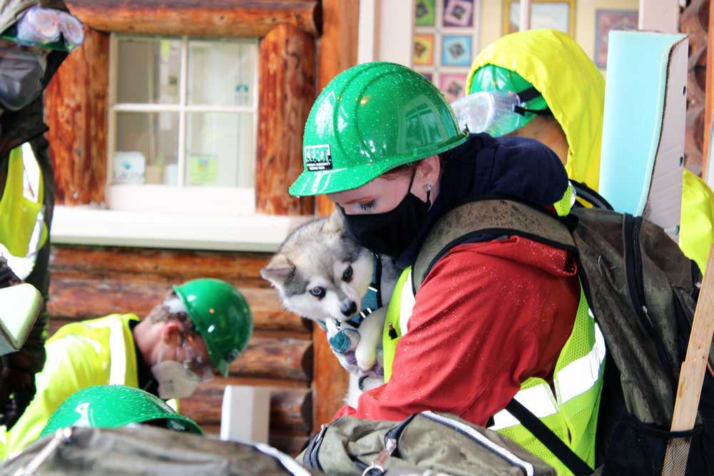 CERT member wearing helmet and vest while holding dog