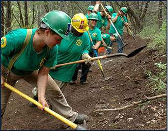 People in green shirts and yellow helmets dig along a wooded slope