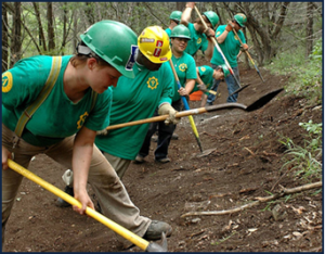 Climate Corps members digging the ground with shovels